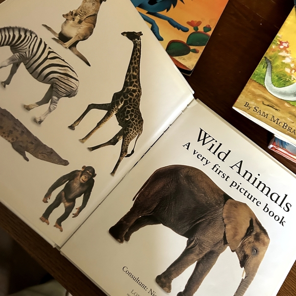 Children's Book Collection - Picture 10 of 12